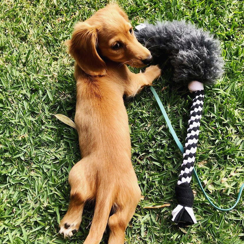 Zoom and Chase Sheepskin Tug