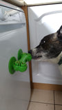 Chase n' Chomp Sticky Bone