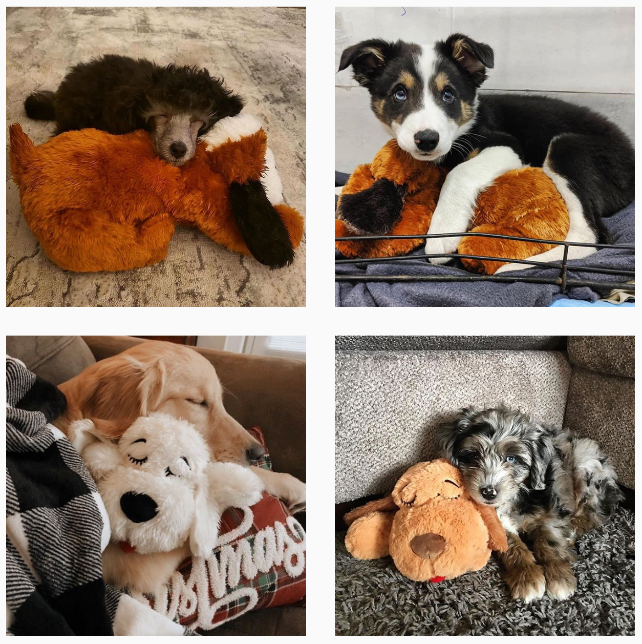 Snuggle Puppy by Smart Pet Love Wildhunde