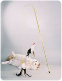 The PURRfect Feather Cat Flirt Pole Toy